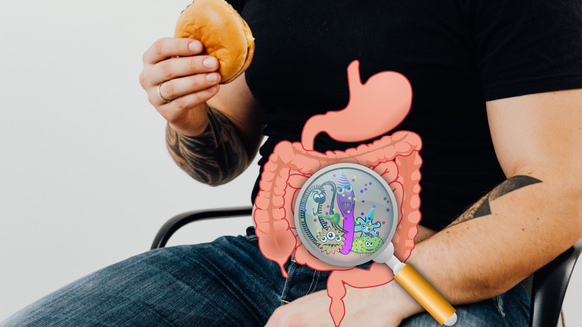 Употребление большого количество глубоко переработанной пищи нарушает микрофлору кишечника