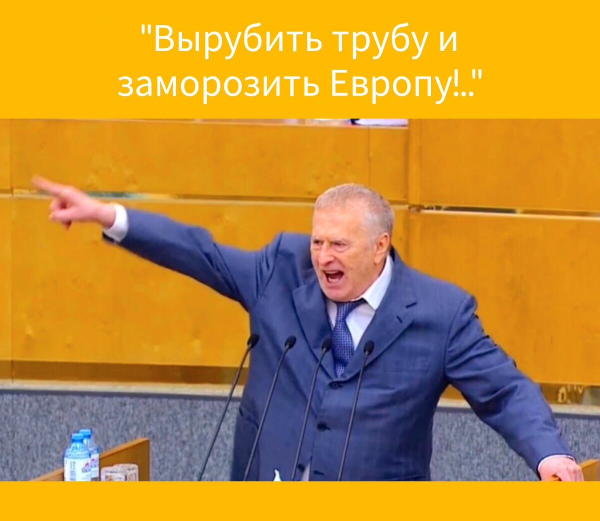 Лидер ЛДПР Владимир Жириновский