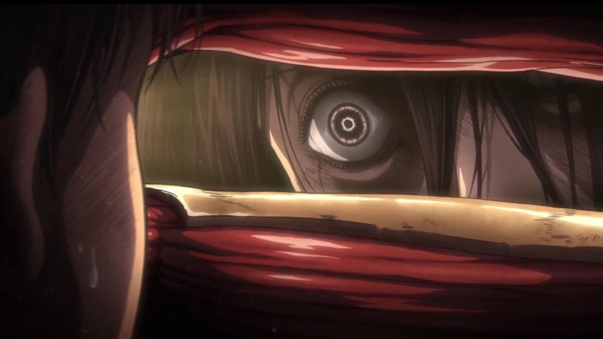 Момент с похищением Эрена вызвал у Микасы огромную волну внутренней агрессии, иногда неконтролируемой. На данном изображении она смотрит на одного из похитителей Эрена, но не может до него добраться. Позже она без раздумий бросалась на врагов, всеми силами пытаясь вернуть похищенного. 