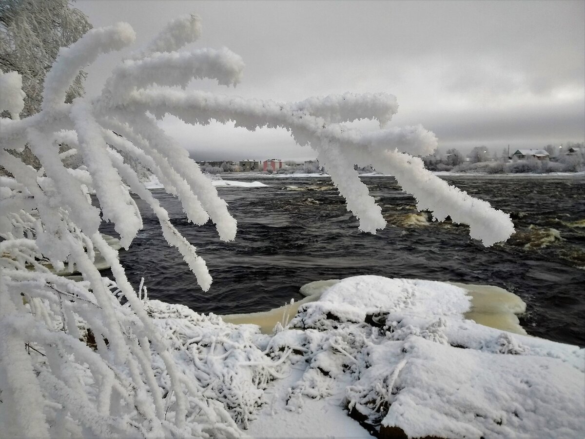 (фото Т. Каньшиевой)