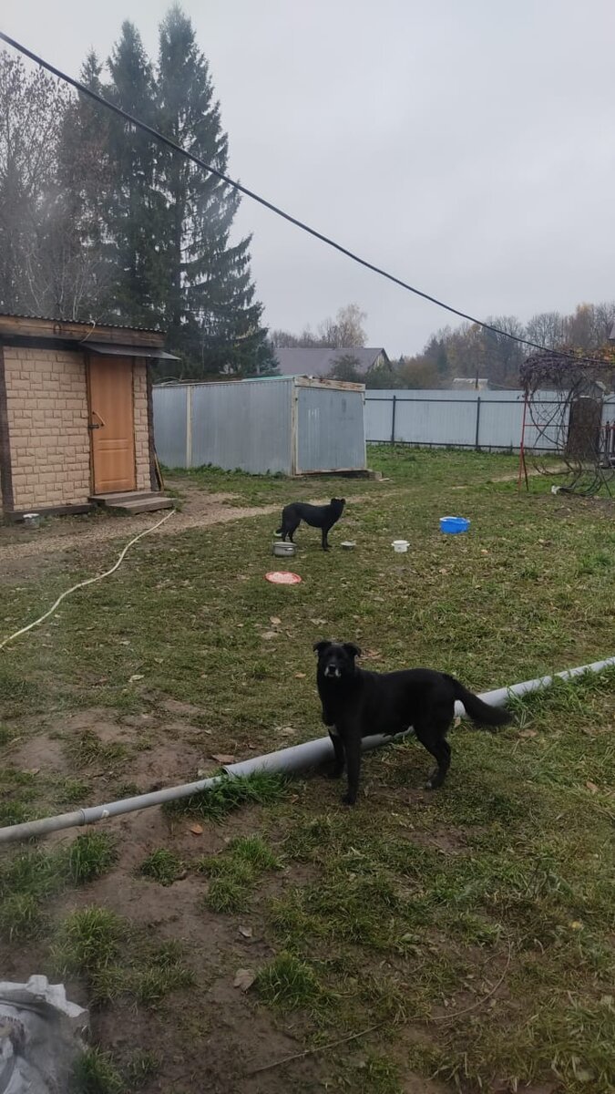 Клайд и Мишель 