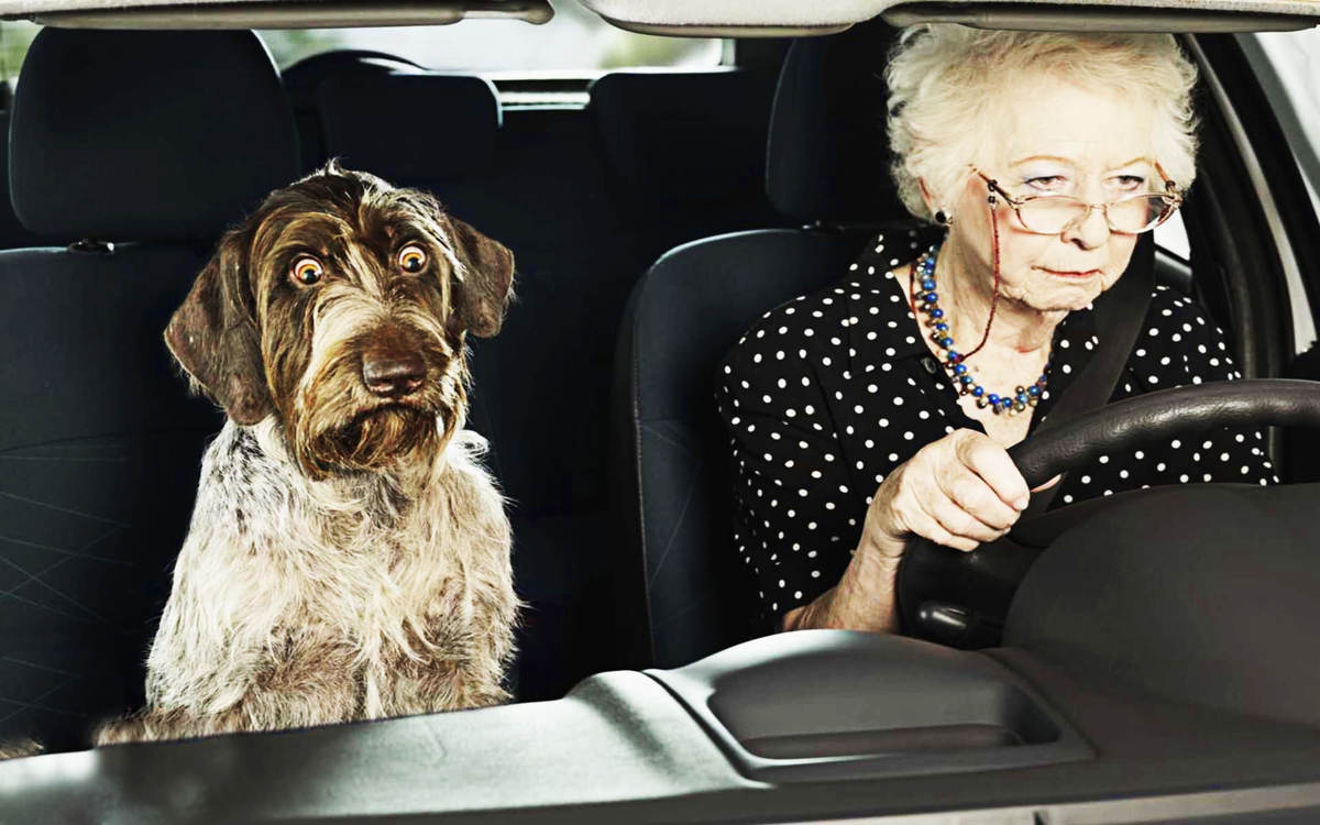 Правила на дороге