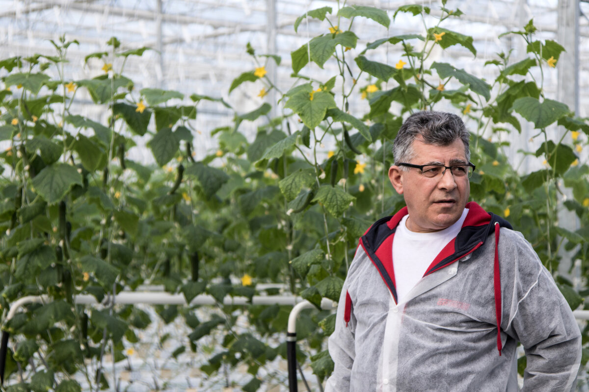 Шаиг Мамедов. Фото rugrad