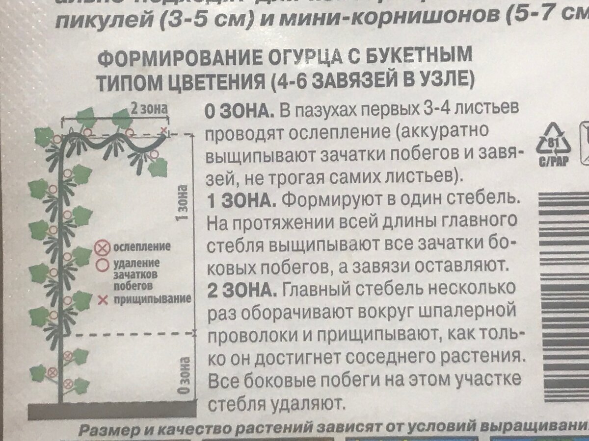 Так рекомендует формировать куст производитель