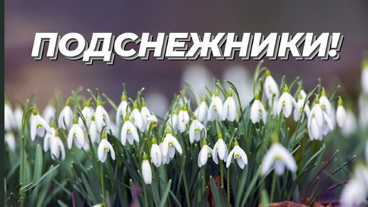 Приглашение новых коллег | Справка Pyrus