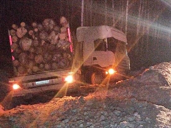     Фото: пресс-служба ГИБДД России по Челябинской области