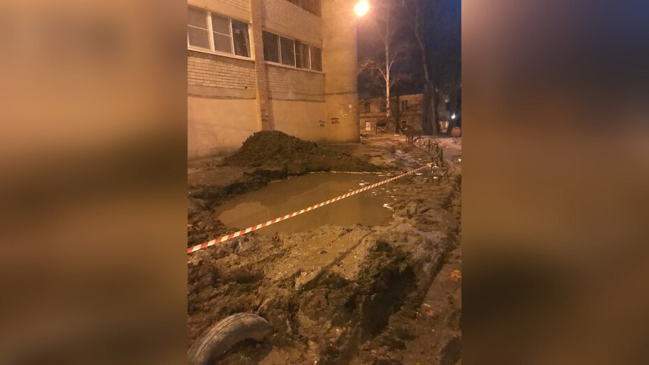    Автор фото: t.me/mtv36