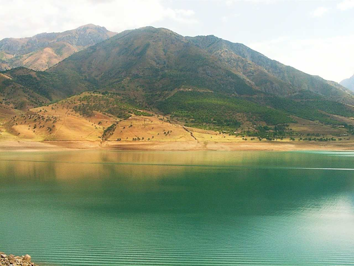 Амурдарья. Река Амударья Таджикистан. Река Амударья в Узбекистане. Река Амударья Туркменистан. Природа Туркменистана Амударья.