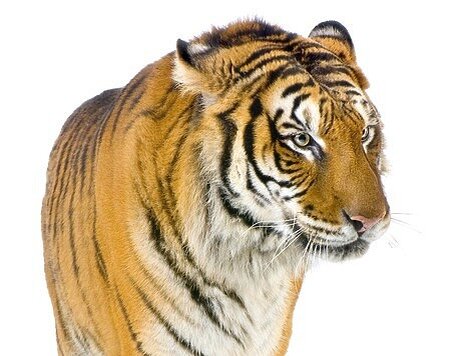 фото: Fotolia.com