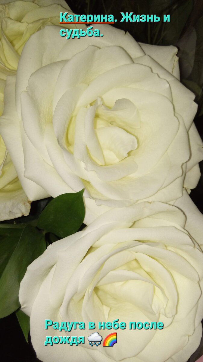 Фото из личного архива автора. 