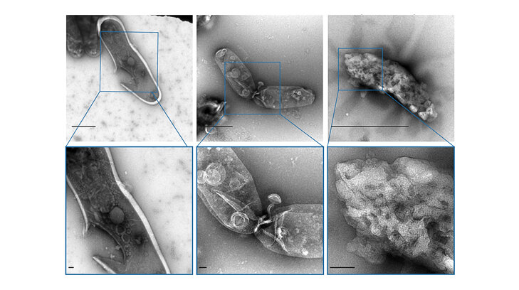   Jingwen Fan et al. / PloS One, 2023