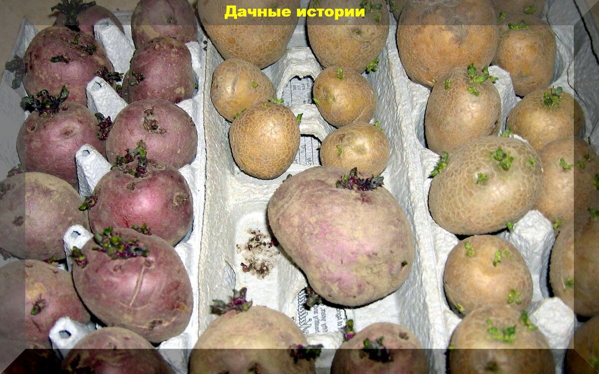 https://vk.com/photo-159774511_457246709