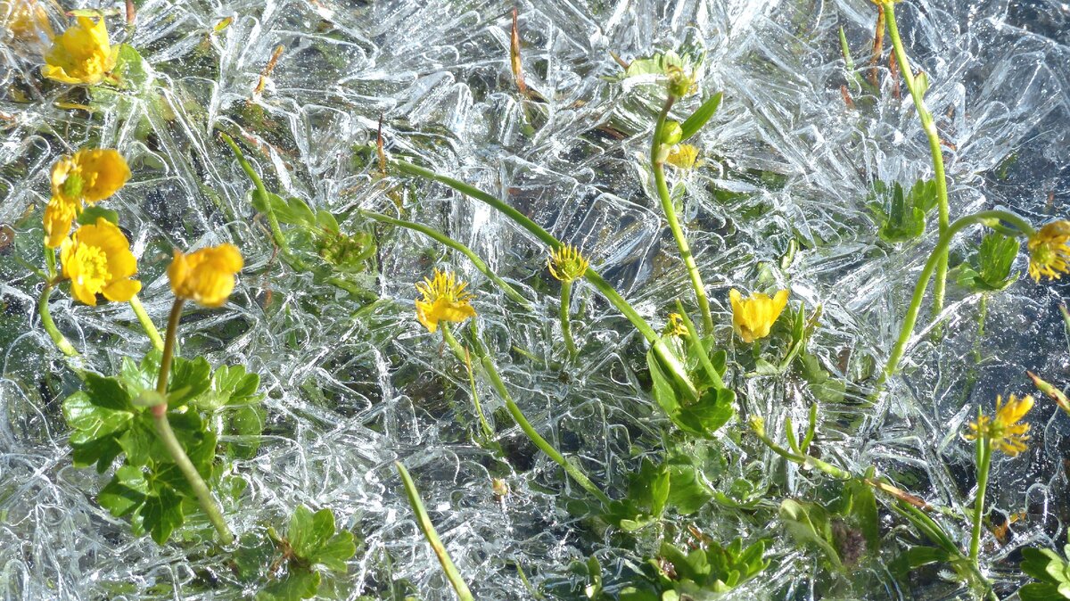Утром вода закончилась...