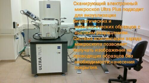 Фото отсюда https://www.nhm.ac.uk/our-science/departments-and-staff/core-research-labs/imaging-and-analysis/electron-microscopy/zeiss-ultra-plus.html 