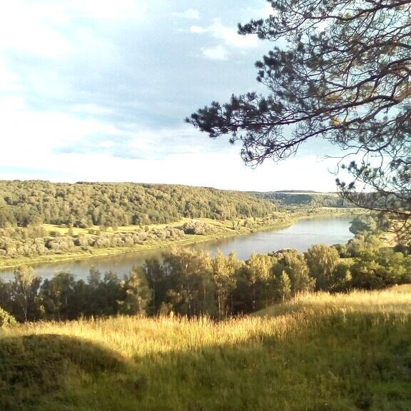 С высокого левого берега красавицы Оки открывается просто волшебная панорама вольно раскинувшихся заливных лугов, поросших дикими ягодниками и яркими цветами, соседствующими с сосняками и смешанным лесом. Это лишний раз доказывает, что Рюрики были великими людьми. Их великолепное восприятие прекрасного передалось в полной мере потомкам даже в 26-м колене. 