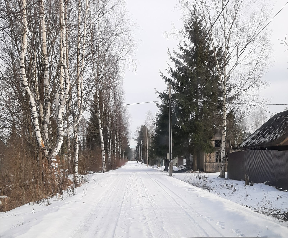 Зима, никак иначе