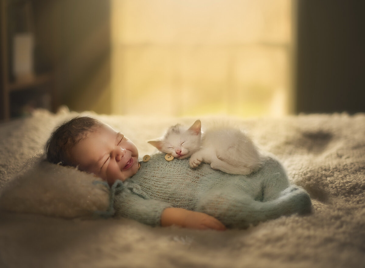 Фотография из общего доступа