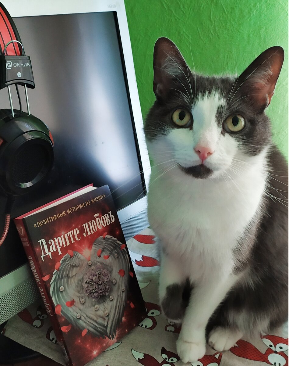 Фото: Елизавета Легостаева.  В кадре не тот Вася из юности, а наш Сэр Моня. Но он тоже  плохого не посоветует.  Есть вкус у парня