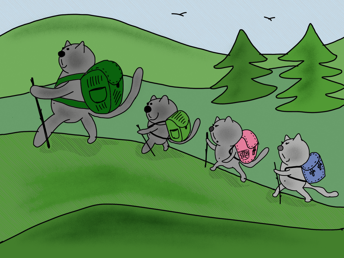 Британская кошка Шипа ведет детей в поход