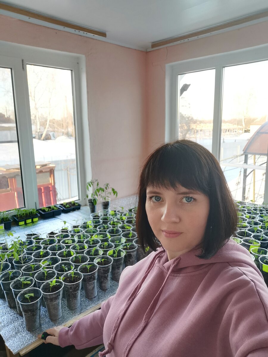 Пикировка идёт полным ходом. 