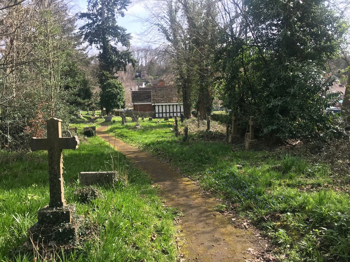 Виды Caversham Cemetery (Reading), где я не нашел никого из наших.