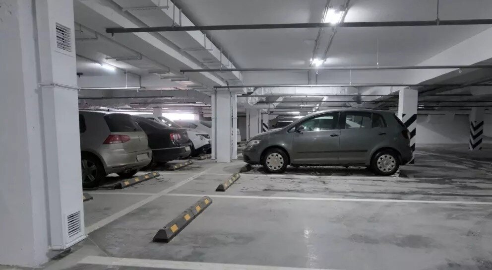 © Фото: Дмитрий СТЕПАНОВ 