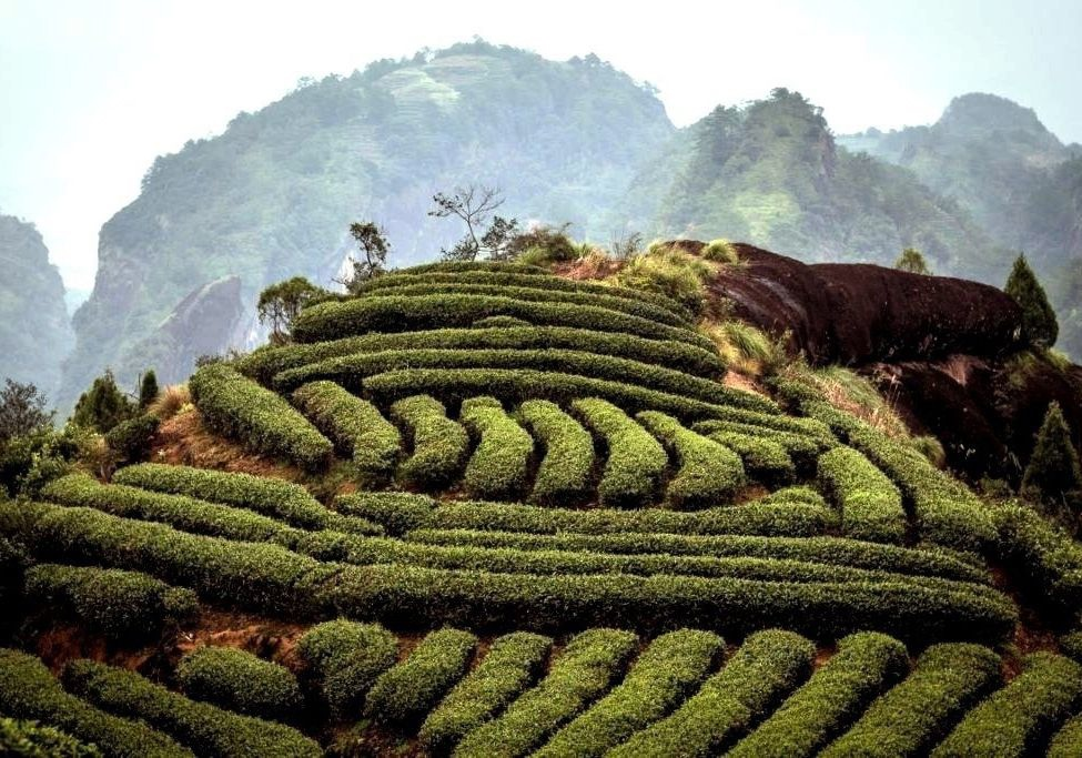 Источник - pic.baidu.com