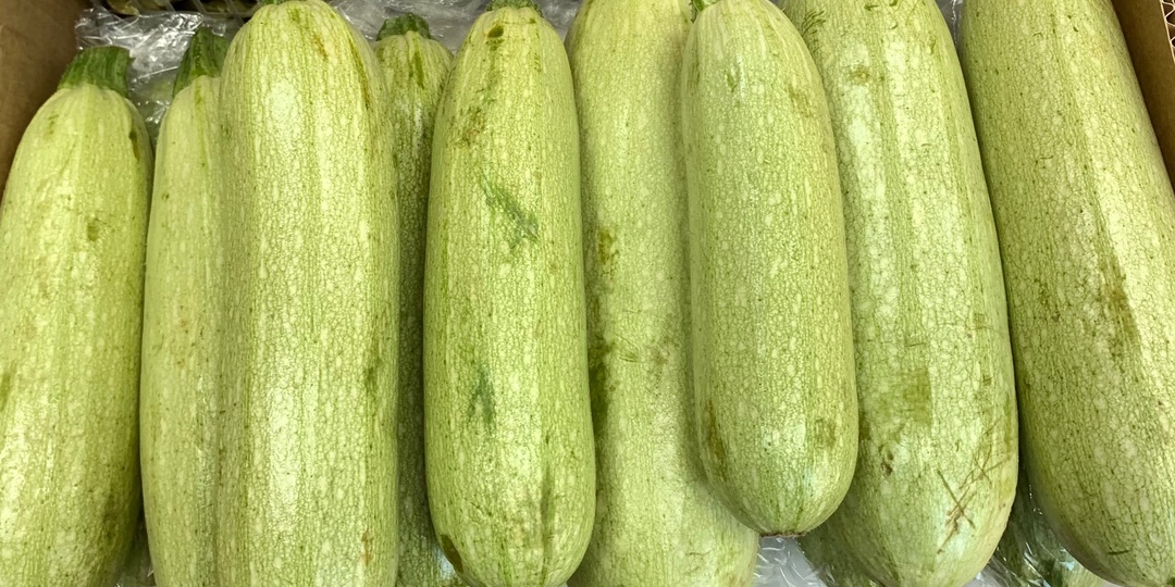 Сорта кабачков, которые сможет вырастить каждый