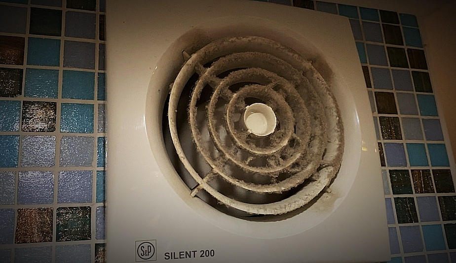 "ДО" помывки