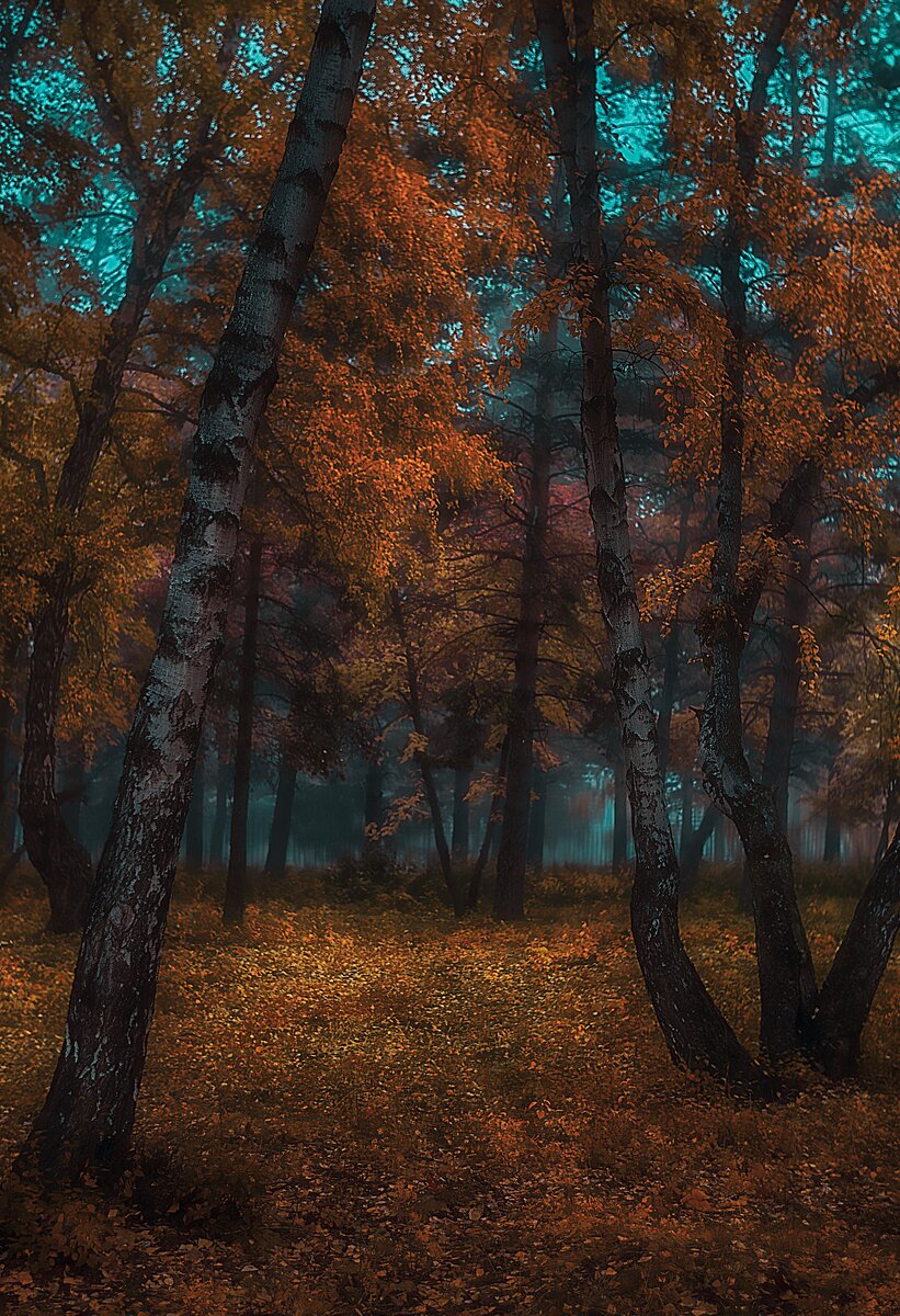 Автор изображения и стихотворения: Юлия Щербакова (Julietta Shcher)