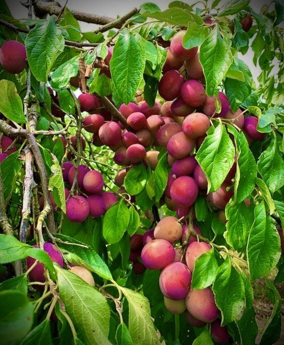 Фото из архива