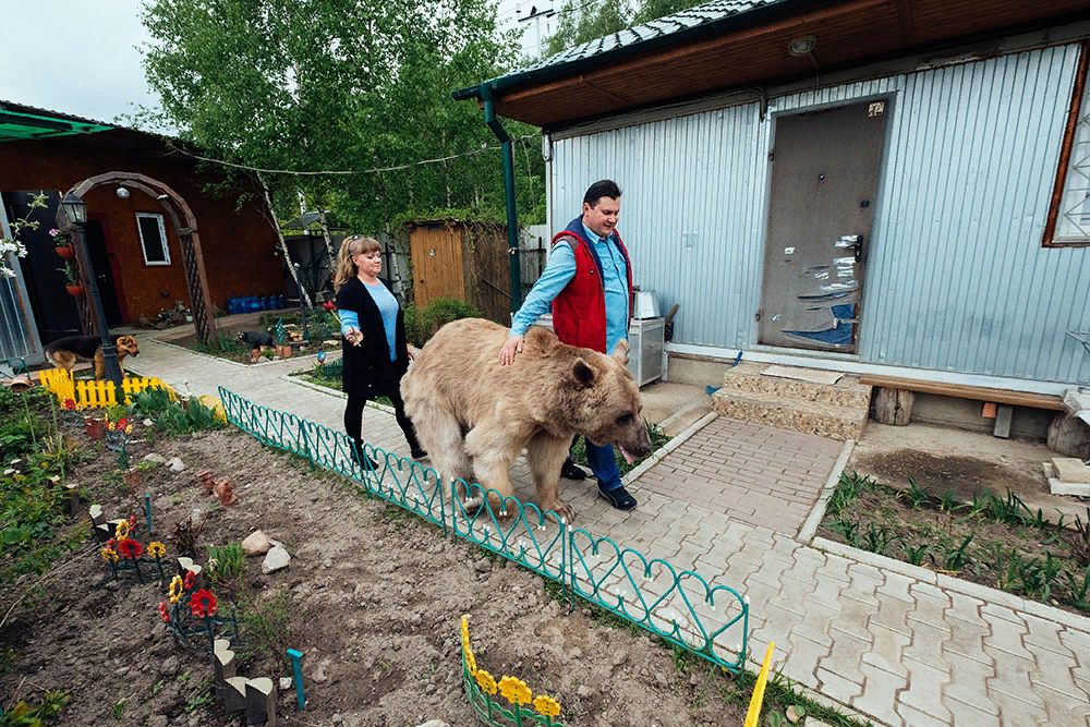 Домашняя русская ебля фото