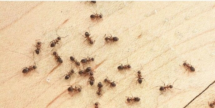 С сайта notklop.ru