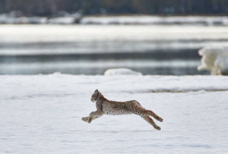 Фото Александра Семенова.