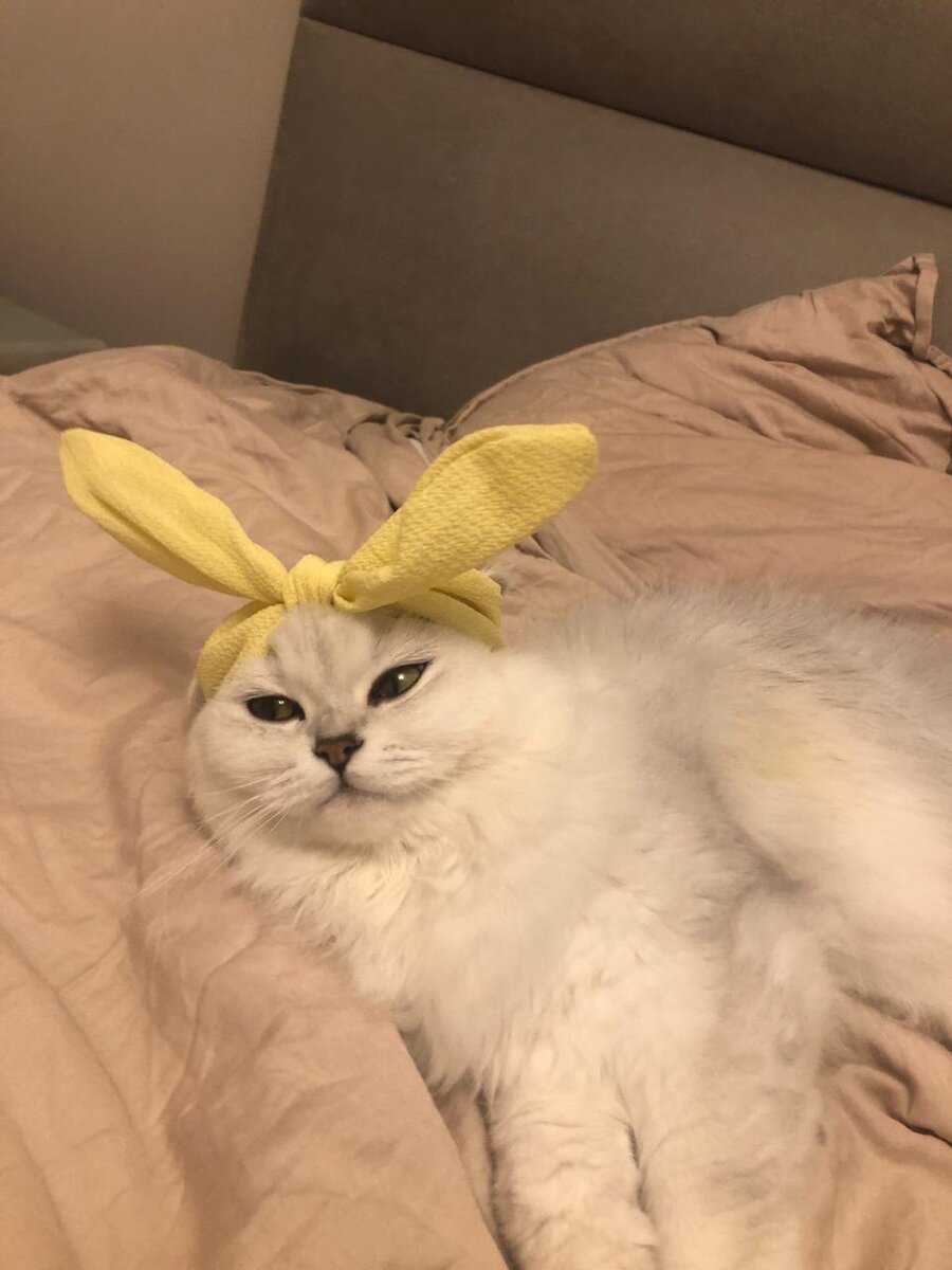 Тусю нарядили. Она любит так играть и не против