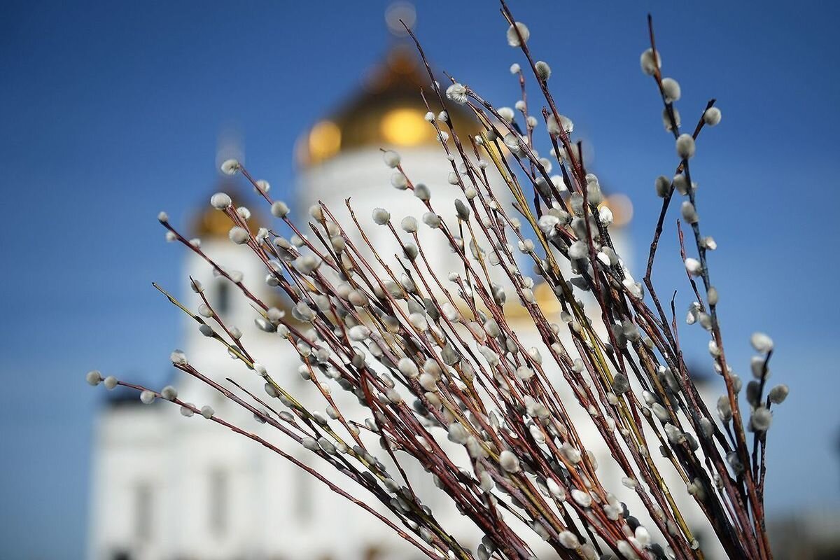 Фото из Яндекс коллекций.