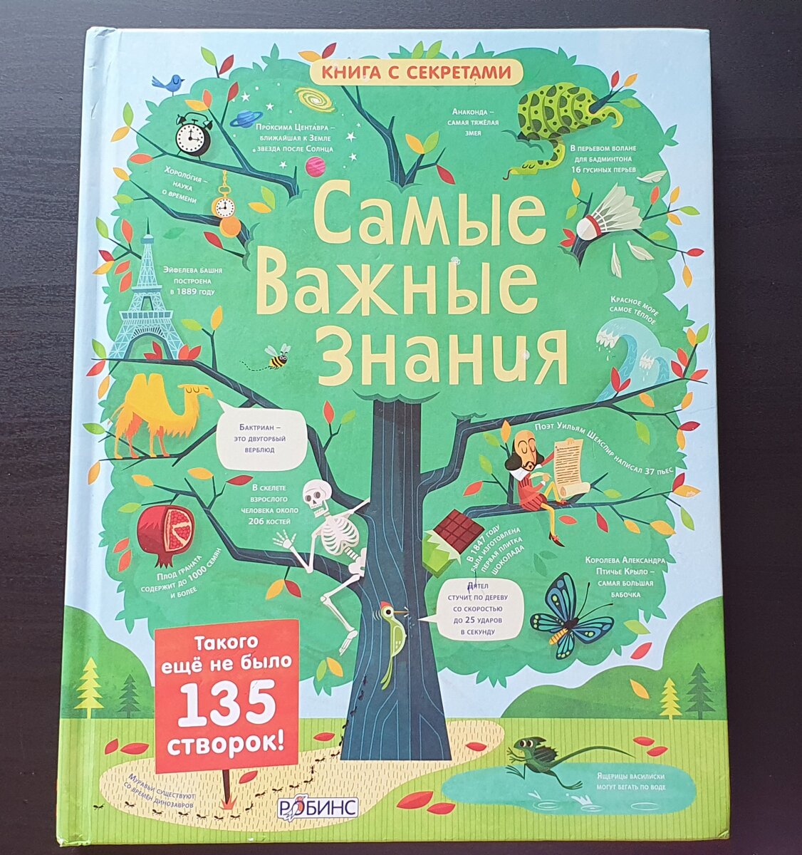 Обложка книги. Фото автора