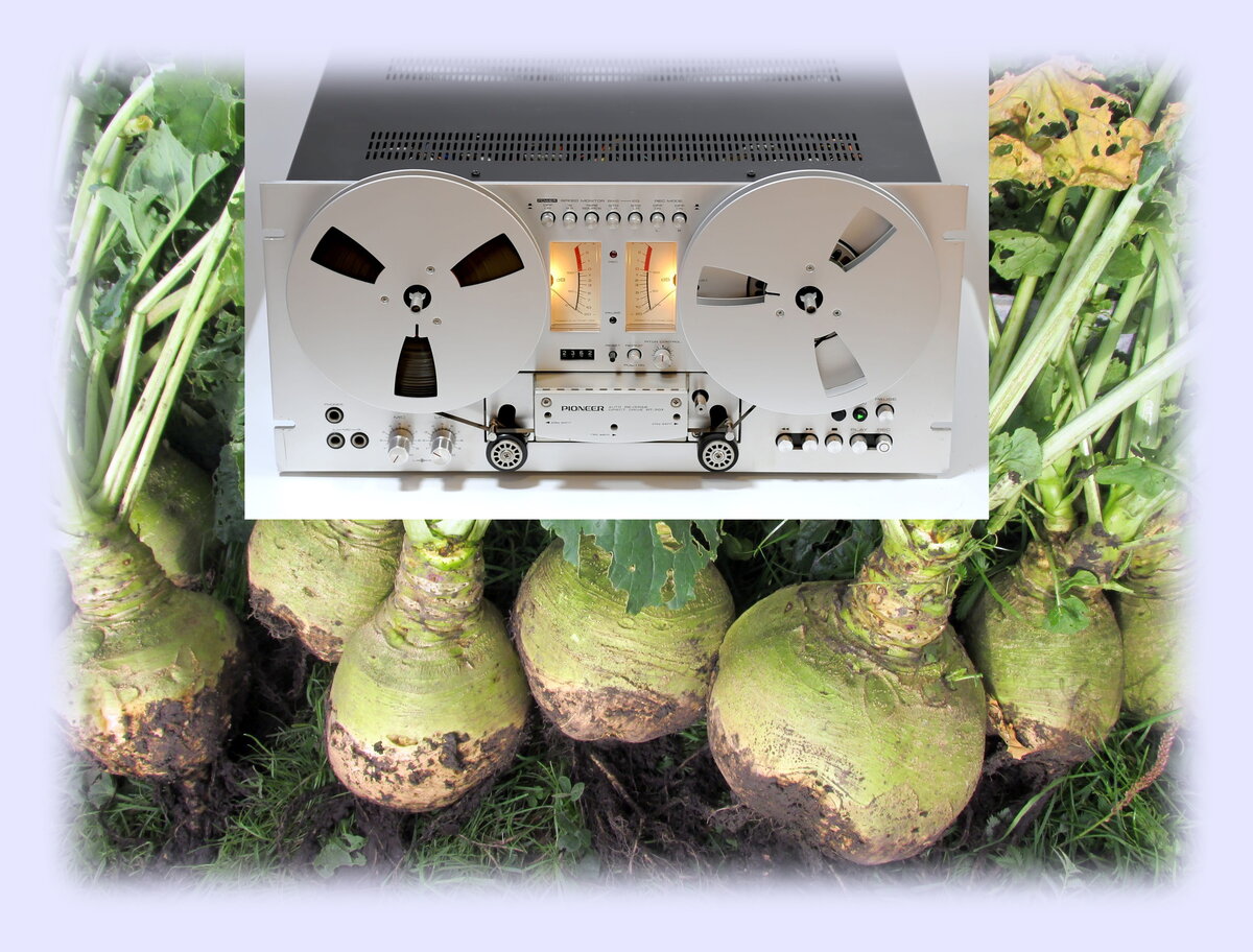 Коллаж выполнен автором.