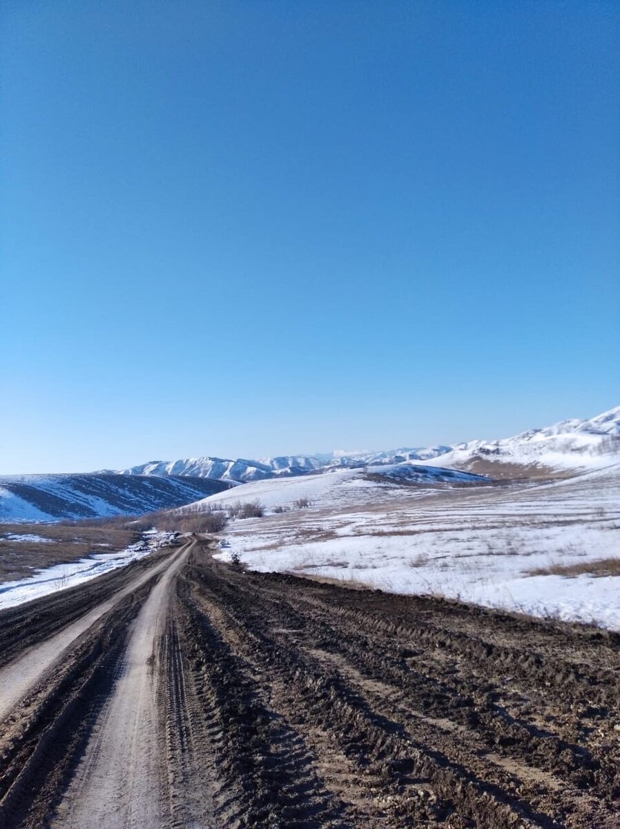 где-то там, далеко в горах, и есть моя пасека...