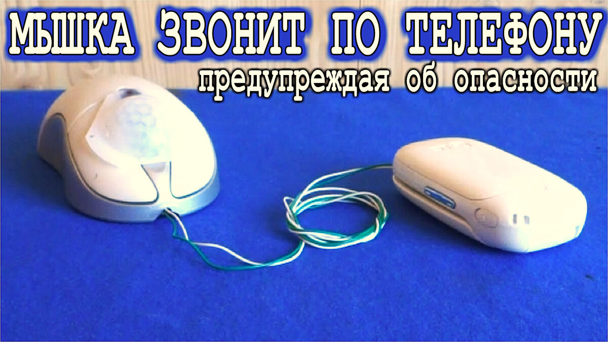 По целевому - реальнее. В ведущем медвузе страны пояснили особенности вступительной кампании-2024