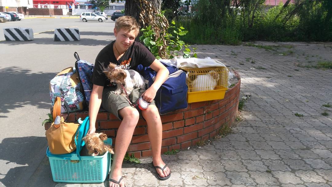 Ждем машину в Ижевске