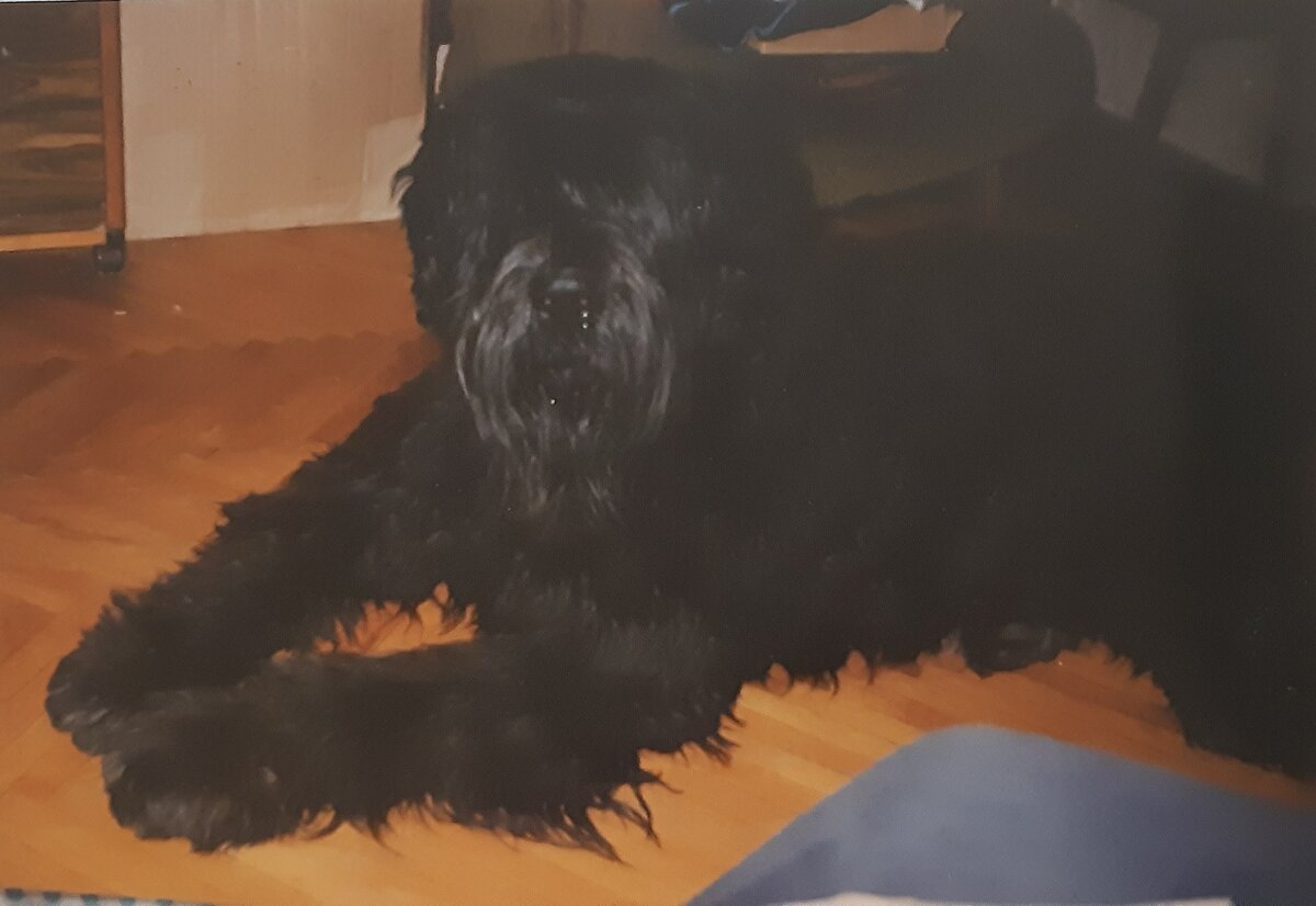 Барсик немного подрос. Фото автора