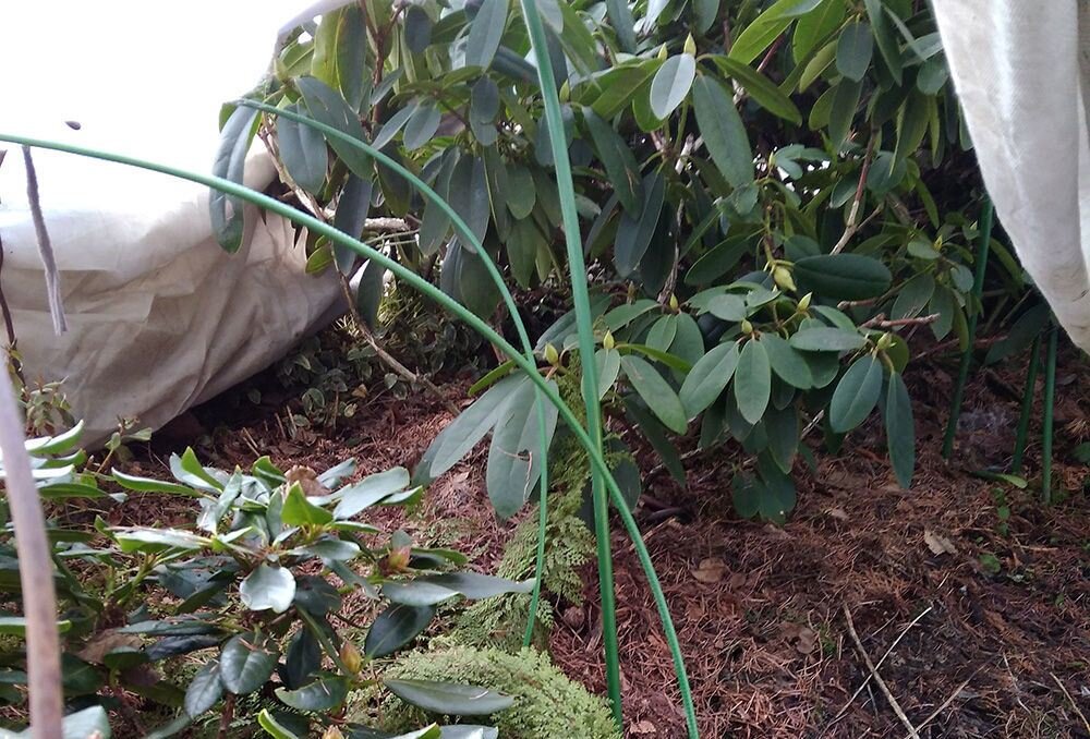 Фото компании «Подворье»