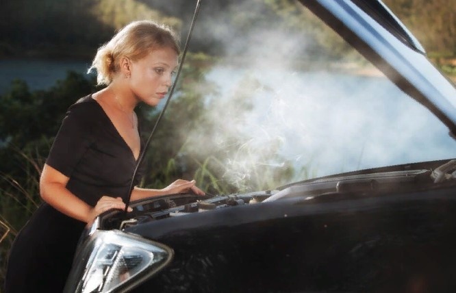 Фото Яндекс картинки