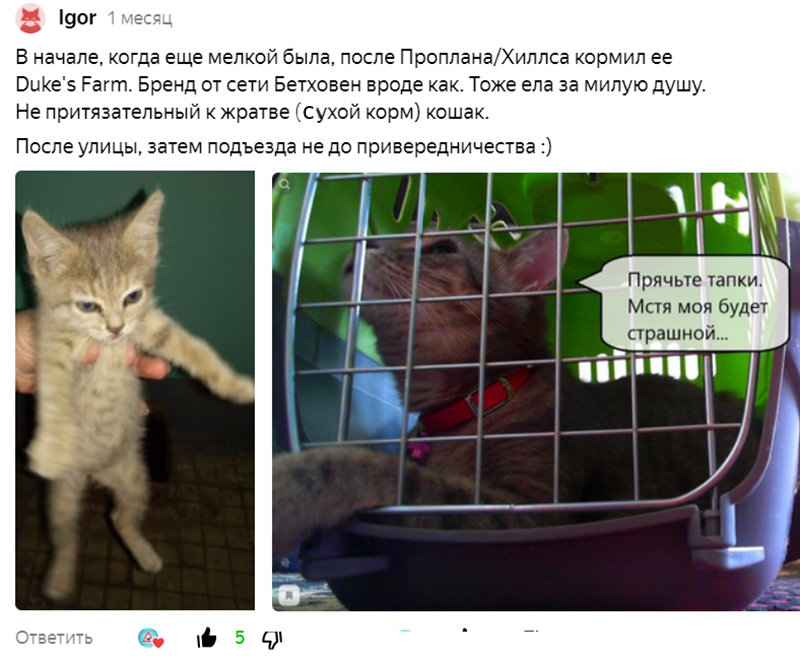Читателя зовут Игорь, а его кошечку – Мыша, сейчас ей 8 месяцев. С его разрешения я публикую фотографии кормов, на которые он сделал обзоры.-2