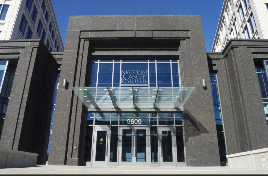 Университет макса планка в германии. Ong slayd. Институты старения. Институты старения. Нейродегенерация.