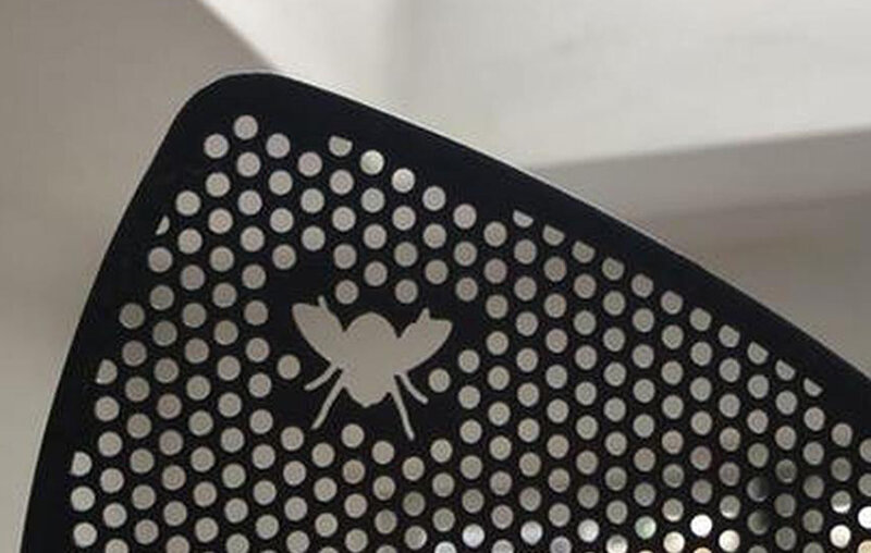 Два способа обмануть муху, чтобы уничтожить | Заметки зооработника | Дзен