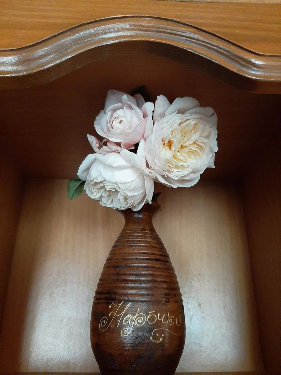 Крокус роуз. "Остинка". Это одна веточка. 