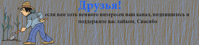 Мульча хорошее подспорье в делах огородных. Но в том случае, если использовать ее правильно. Мульчировать нужно почву тогда, когда она хорошо прогреется.-2