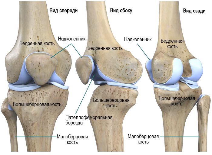 Основные травмы коленного сустава